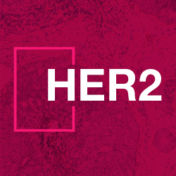 HER2 Breast Cancer Tweetorial: HER2-low emerges as a new classification 