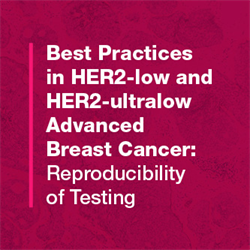 Best Practices in HER2-low and HER2-ultralow Advanced Breast Cancer: Reproducibility of Testing