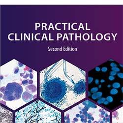 Practical Surgical Pathology: Morphology & Molecular